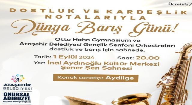 DÜNYA BARIŞI İÇİN ORTAK KONSERLER