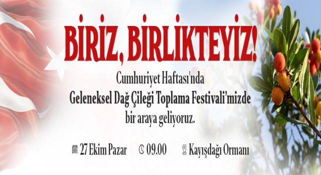 Ataşehir’de Dağ Çileği toplama festivali