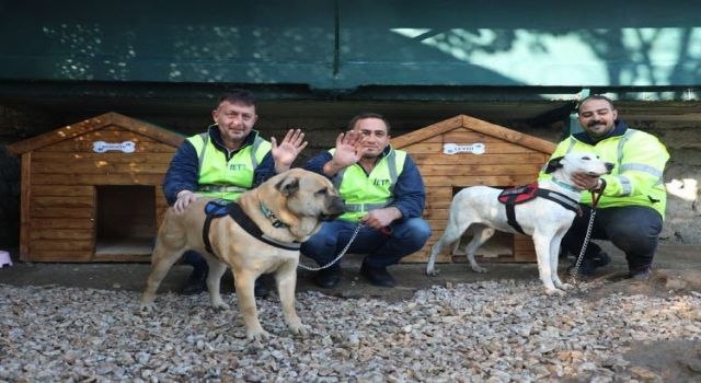 İETT’nin Patili dostlar ailesi büyüyor