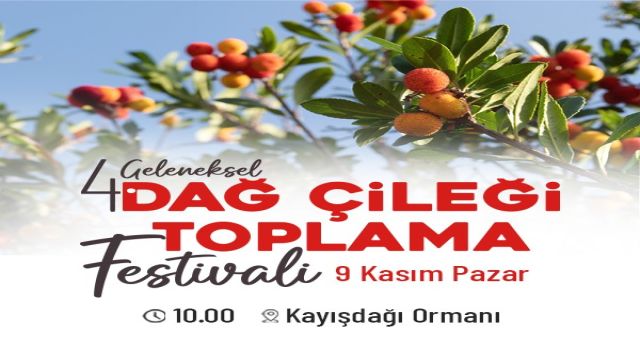 ATAŞEHİRLİLER DÖRDÜNCE KEZ DAĞ ÇİLEĞİ FESTİVALİ’NDE BULUŞUYOR