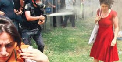 Gezi Parkı'nın Bilançosu Açıklandı