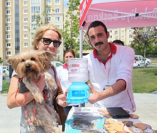 Sokak Hayvanları Susuz Kalmadı