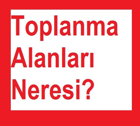 DEPREM TOPLANMA ALANLARI NERESİ?