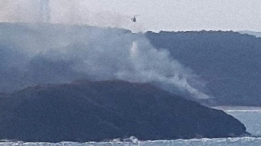 Beykoz'da orman yangını