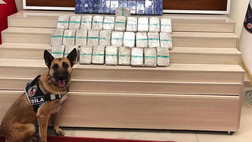 Narkotik köpeği Şila gizlenen 21 kilo eroini buldu