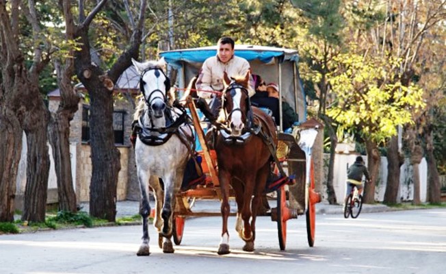 Faytoncuların da akıbeti belli oldu