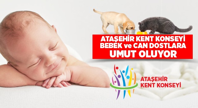 Ataşehir Kent Konseyi Can Dostları ve Bebekleri Unutmuyor