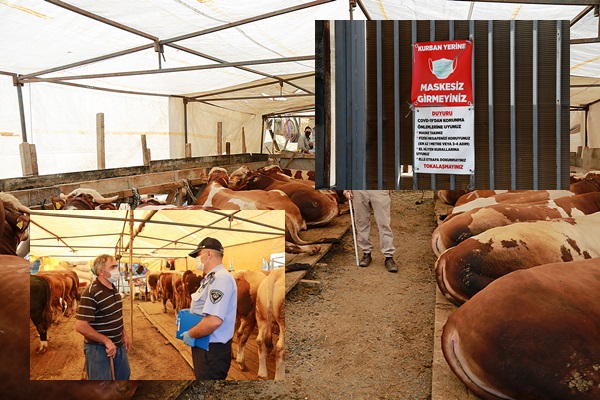 Kurban satış ve kesim yerlerinde tedbirler alındı