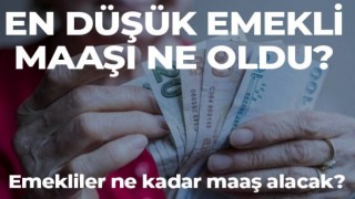 Emekliler ne kadar maaş alacak?