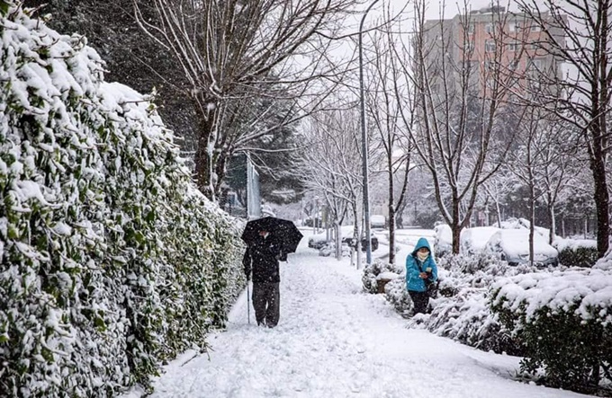 İstanbul'dan kar manzaraları