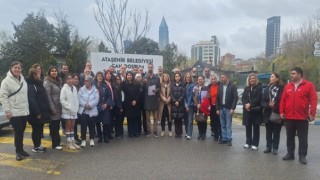 CHP, Ataşehir’de Sokak Hayvanları İçin Vicdan Çağrısı Yaptı!